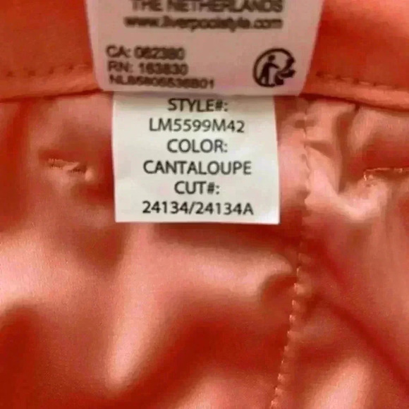 Liverpool Stretch Dress Pants Size 2/26 - Picture 9 of 15